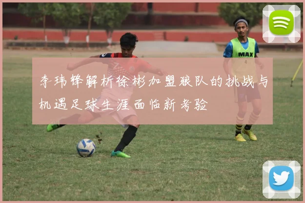 李玮锋解析徐彬加盟狼队的挑战与机遇足球生涯面临新考验