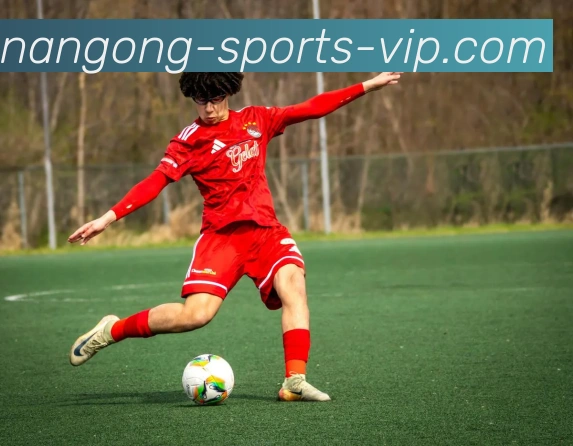 南宫体育APP 高清赛事图